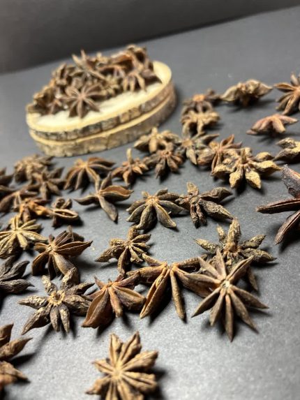 بادیان ستاره ای